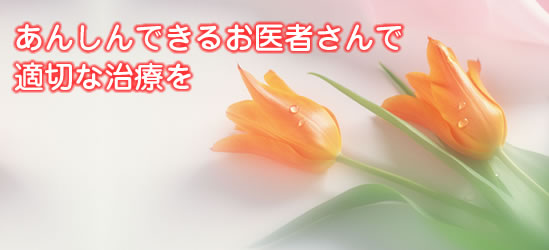 ���񂵂�ł��邨��҂���œK�؂Ȏ��Â�